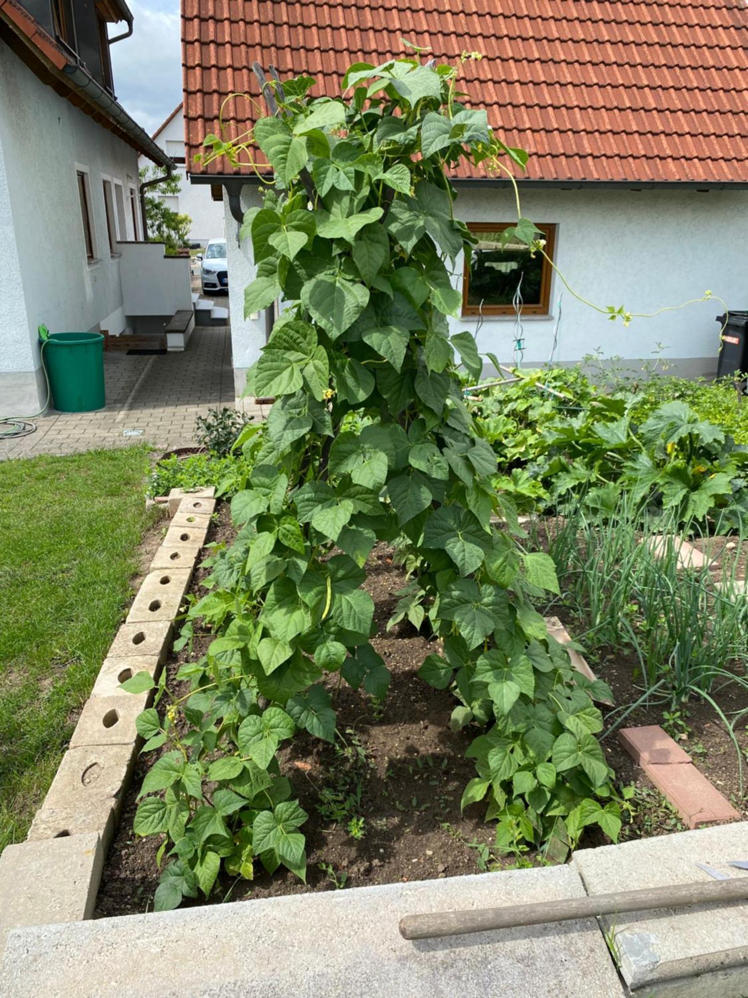 Ferienwohnung Eibenweg Gebsattel Zewnętrze zdjęcie